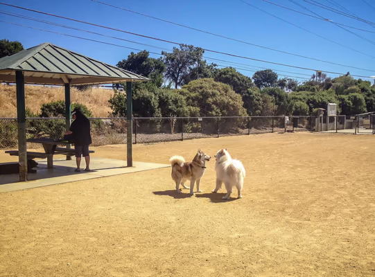 Shoreline Dog Park photo 1